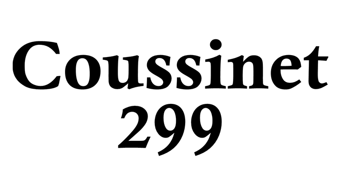 Coussinet299